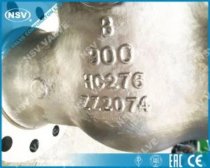 „Hastelloy C276“ vartų vožtuvas