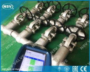 Vartų vožtuvas „Incoloy 825“