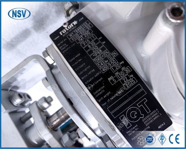 IMG20250522132257 IMG20250522132257