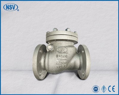 Atbulinis vožtuvas CZ100