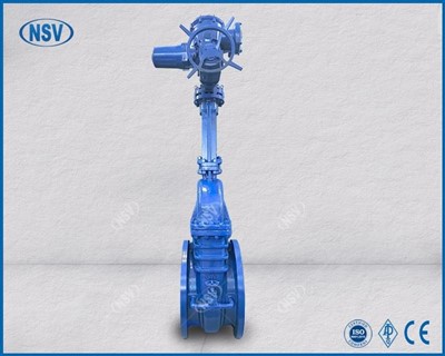 Elektrinis vartų vožtuvas