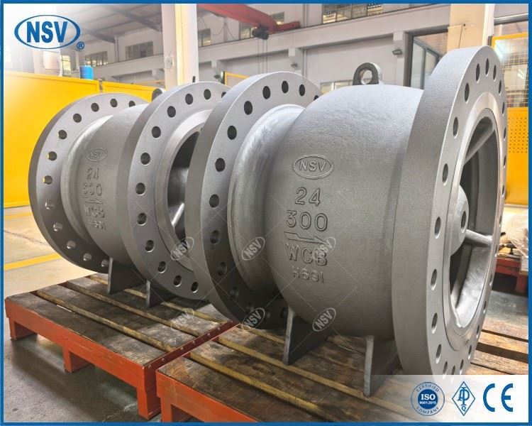 WCB Axial Flow Check Valve best